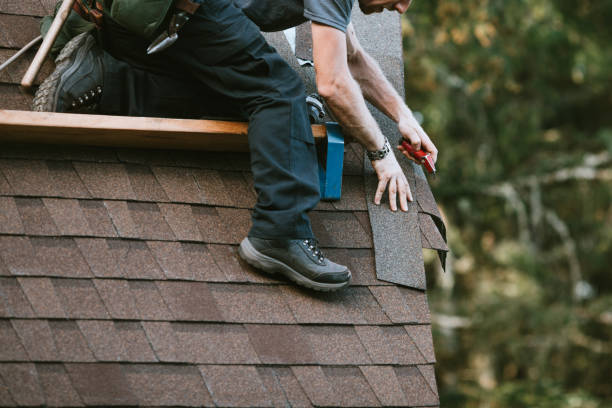 Roof Gutter Cleaning in Palmer, TX